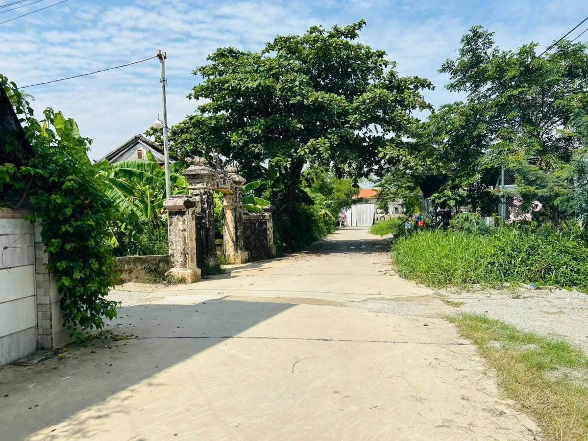 Bán đất 113m2 Tây Trì Nhơn Mỹ Thượng Huế - Ảnh thu nhỏ 2