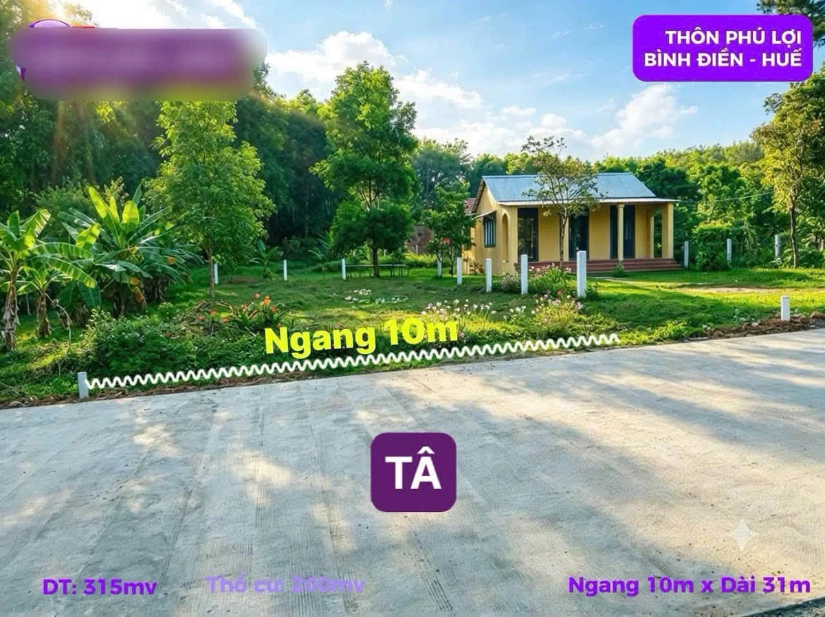 Bán đất 315m² mặt tiền 10m Phố Núi Bình Điền Huế - Ảnh 1