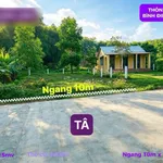 Bán đất 315m² mặt tiền 10m Phố Núi Bình Điền Huế - Ảnh thu nhỏ 1