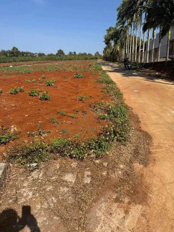 Bán đất 52x150m Đắk Lắk, 380 triệu