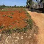Bán đất 52x150m Đắk Lắk, 380 triệu - Ảnh thu nhỏ 1