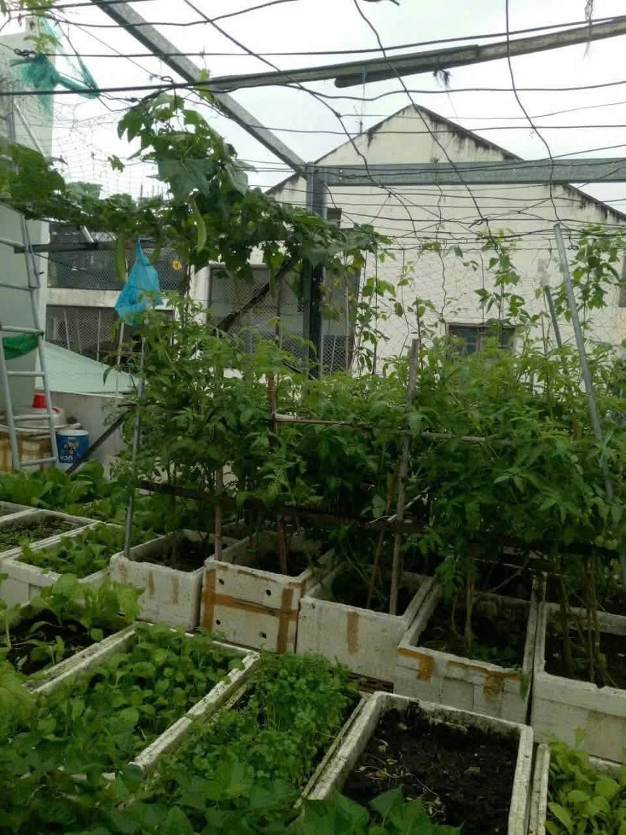Bán nhà 5 phòng 4WC, mặt tiền Phan Thúc Duyện, 139m2, 2 tỷ - Ảnh thu nhỏ 2