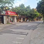 Bán đất thổ cư 85m² mặt tiền Sóc Sơn - Ảnh thu nhỏ 2