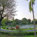 Bán biệt thự homestay 5.200m² Lương Sơn Hòa Bình, giá 32 tỷ - Ảnh thu nhỏ 2