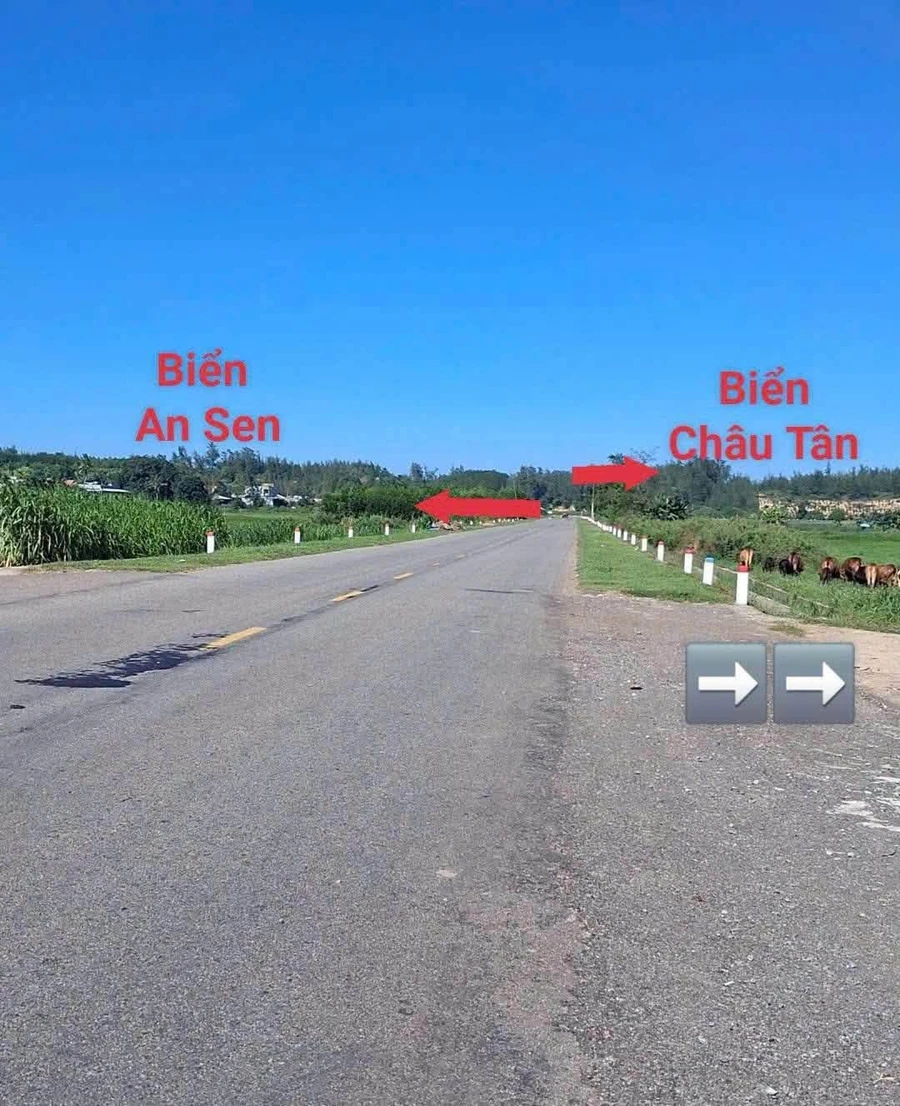 Bán đất ven biển Quảng Ngãi 114m2, giá 35 triệu - Ảnh 1