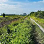 Bán đất lúa 1200m² Thủy Đông Thạnh Hóa Long An 429 triệu - Ảnh thu nhỏ 1