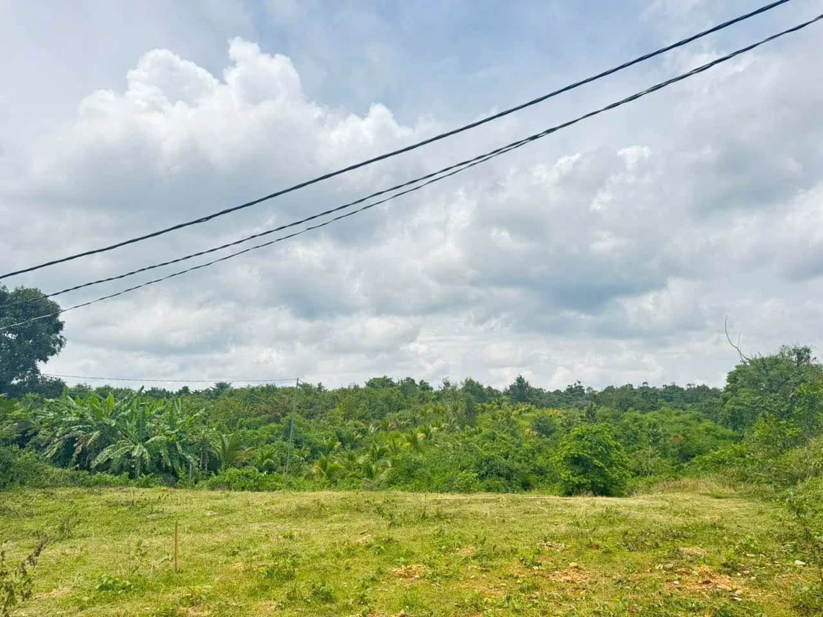 Bán 2ha đất nông nghiệp đường 19/5, view đồi đẹp - Ảnh thu nhỏ 3