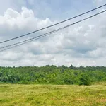 Bán 2ha đất nông nghiệp đường 19/5, view đồi đẹp - Ảnh thu nhỏ 3