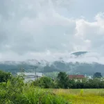 Bán đất Định An Hiệp An cửa ngõ Đà Lạt view đồi núi - Ảnh thu nhỏ 2