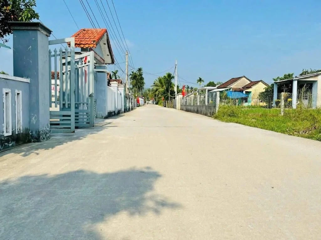 Bán lô đất 120m2 Đại Hiệp, Bình Chánh - Ảnh 1