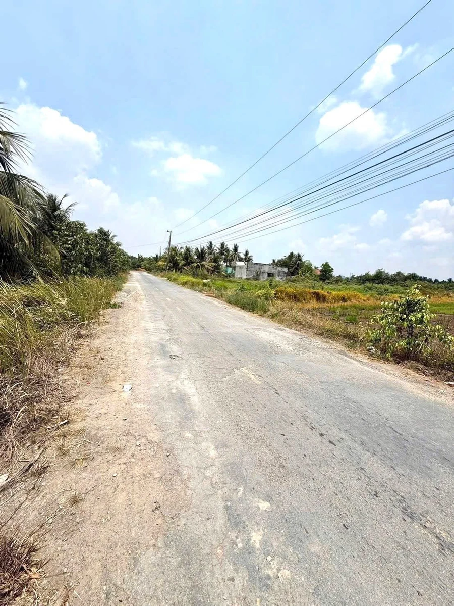 Bán đất Hoà Khánh Đức Hoà 2784 m² mặt tiền đường số 4 - Ảnh thu nhỏ 2