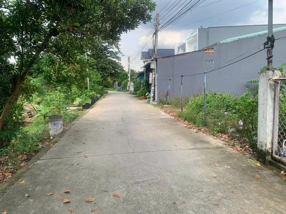 Bán đất mặt tiền Bình Nhâm 26, 89 m2, 2,5 tỷ, Bình Chánh - Ảnh thu nhỏ 4