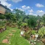 Nhượng nhà vườn 500m2 có hồ cá Koi, sổ riêng, hẻm 442 Ymoan, giá 2,99 tỷ - Ảnh thu nhỏ 1