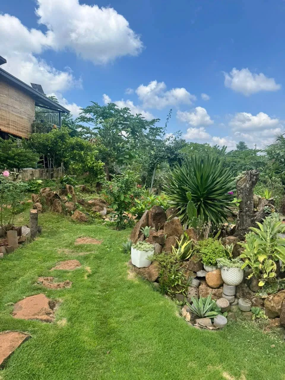 Nhượng nhà vườn 500m2 có hồ cá Koi, sổ riêng, hẻm 442 Ymoan, giá 2,99 tỷ - Ảnh 1