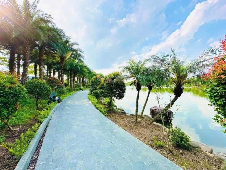 Bán gấp LK16 Khu đô thị Từ Sơn Garden City, Bắc Ninh - Ảnh thu nhỏ 2