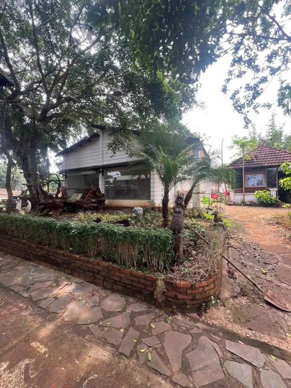 Cho thuê căn hộ nhà vườn 30m2 tại Dã Tượng, Đắk Lắk 4,5 triệu/tháng