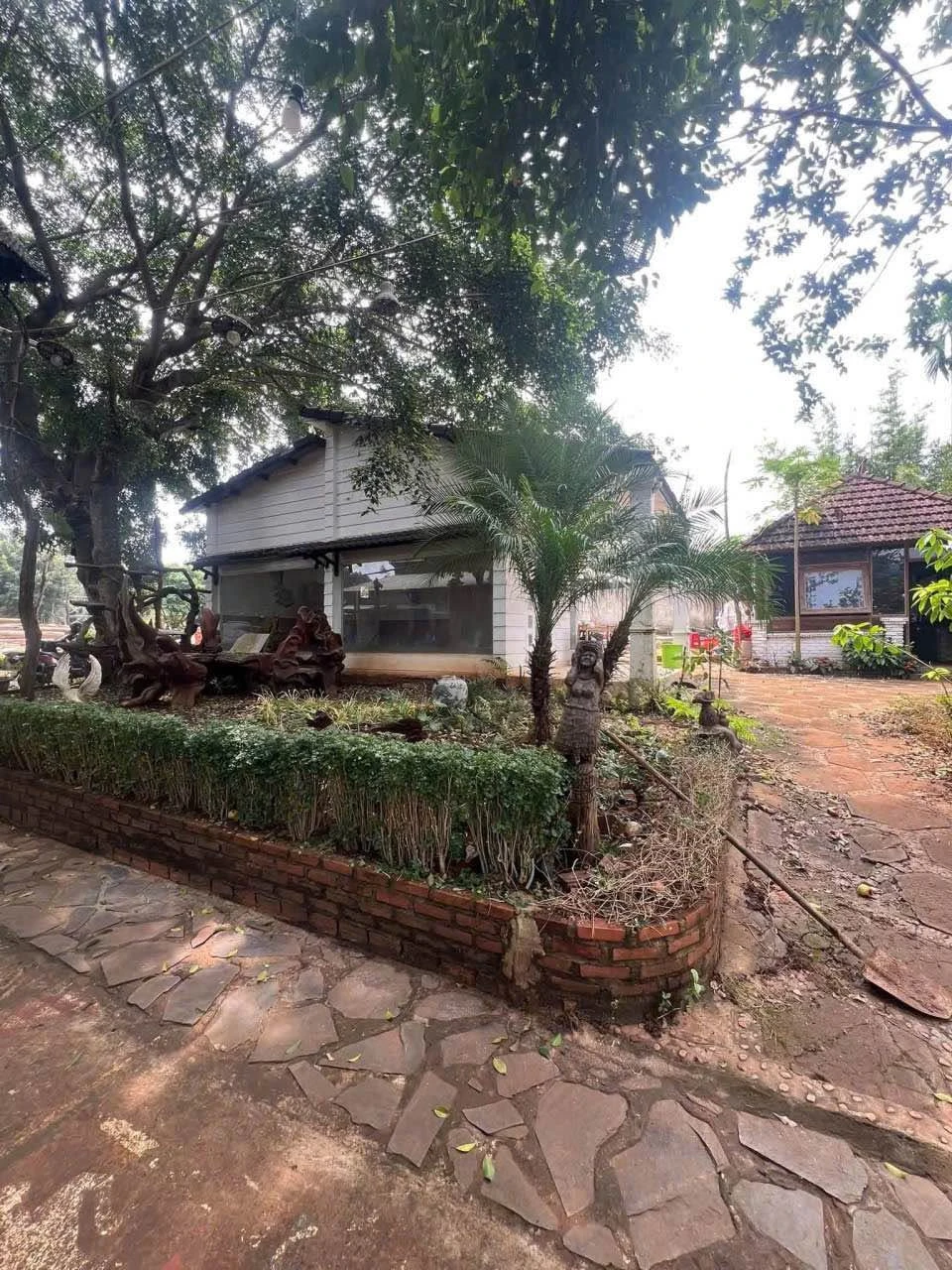 Cho thuê căn hộ nhà vườn 30m2 tại Dã Tượng, Đắk Lắk 4,5 triệu/tháng - Ảnh 1