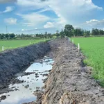 Bán đất làm vườn gần lộ nhựa Minh Lương 980 m² - Ảnh thu nhỏ 3