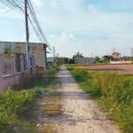 Bán lô đất 303m2 Mỹ Hạnh Bắc Đức Hòa Long An 1,9 tỷ - Ảnh thu nhỏ 3