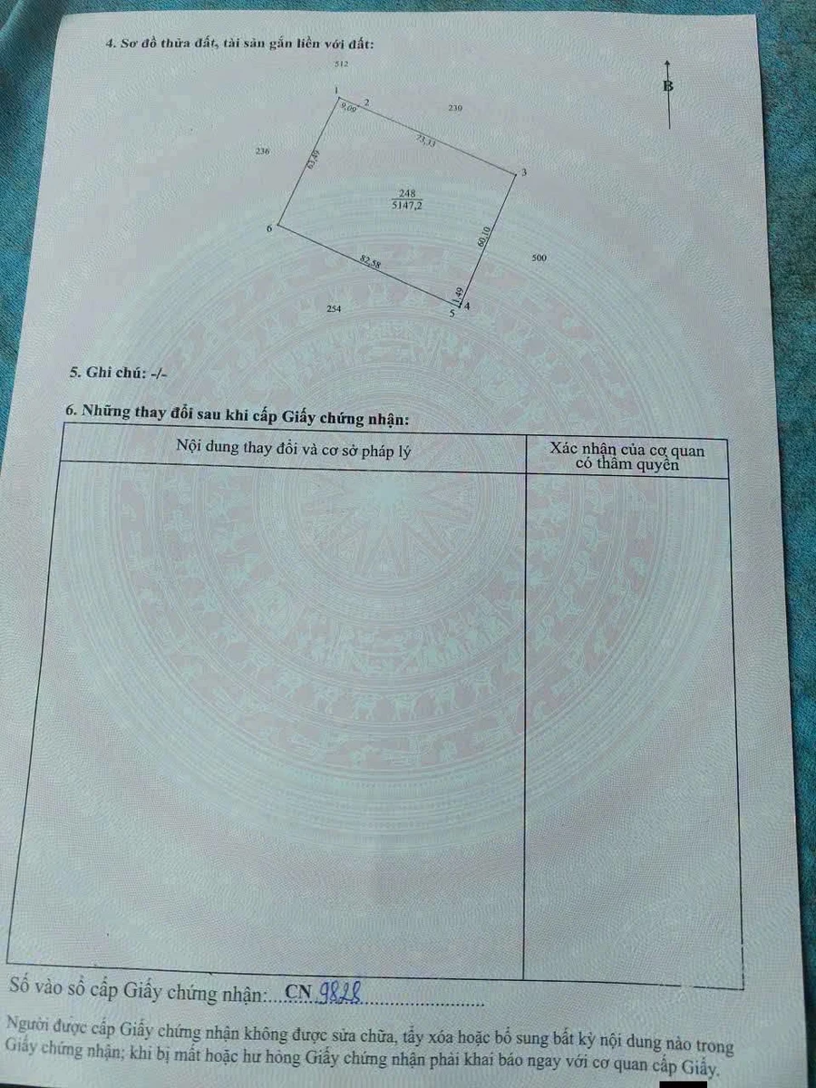Bán đất lúa 6.176m² Hóa Long An, 140 triệu/công - Ảnh thu nhỏ 4