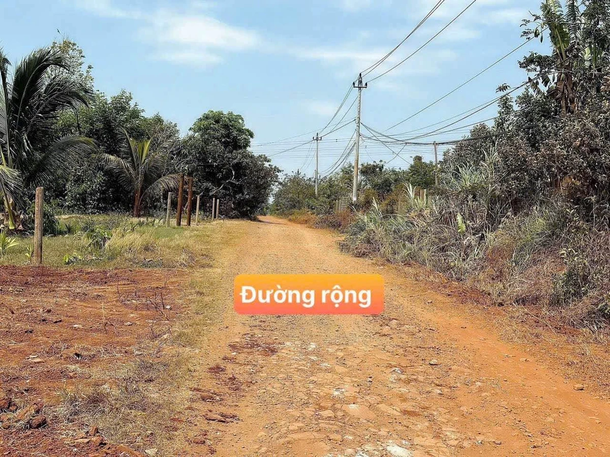 Bán lô đất Sào giá rẻ 1 tỷ, 1,7 sào Củ Chi - Ảnh 1