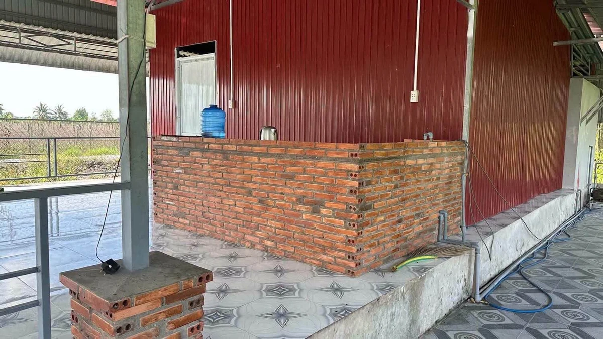 Bán 240m² đất mặt tiền Thủ Thừa Long An, 1 tỷ 500 triệu - Ảnh thu nhỏ 5