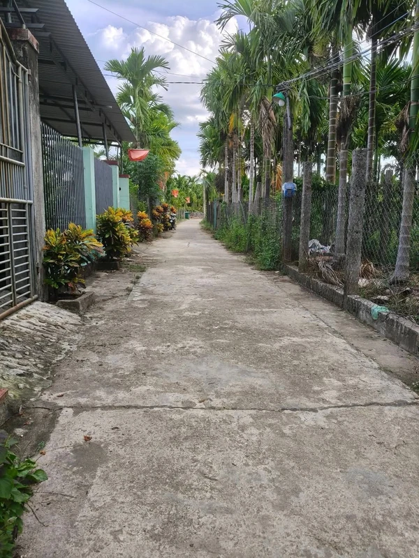 Bán đất Sơn Tịnh 185m², 500 triệu