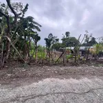 Bán đất mặt tiền đường Số 1 khu biệt thự Cồn Khương 2020m2 giá 15 tỷ, Cần Thơ - Ảnh thu nhỏ 1