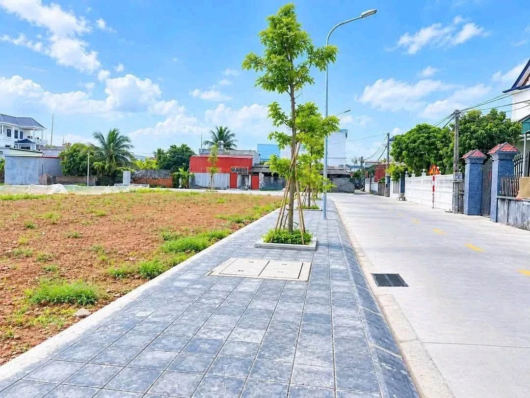 Bán đất nền 99m² KDC Mới Phong Nội Hải Phòng giá 1 tỷ - Ảnh thu nhỏ 2