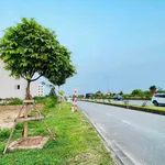 Bán lô đất 63m2 mặt đường Bùi Viện, Hải An - Ảnh thu nhỏ 3