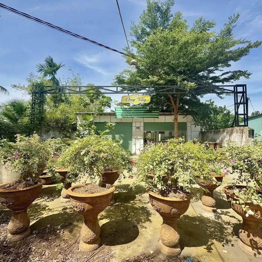 Bán nhà Phú Hưng, Bến Tre, 745m, 2 tỷ 200 triệu - Ảnh 1