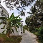 Bán đất mặt tiền 787m2 tại Hữu Định, Bến Tre - Ảnh thu nhỏ 5