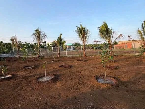 Bán lô đất vườn 1482m² view lúa Đất Đỏ Nhà Bè - Ảnh thu nhỏ 2