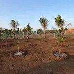 Bán lô đất vườn 1482m² view lúa Đất Đỏ Nhà Bè - Ảnh thu nhỏ 2