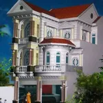 Bán biệt thự 250m2 đường số 9 khu trung tâm hành chính Dĩ An, Bình Dương - Ảnh thu nhỏ 1