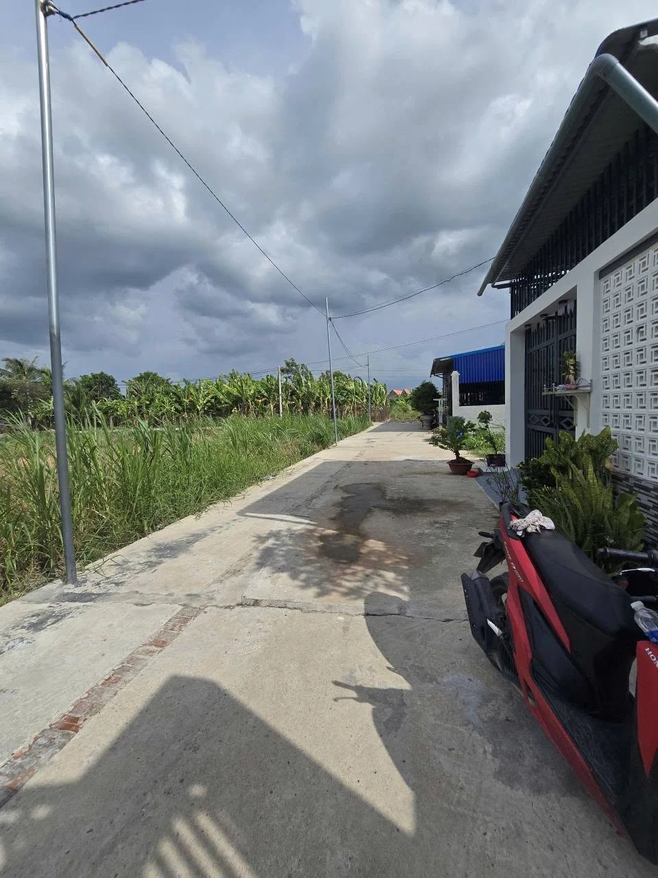 Bán nhà vườn 20x45m, thổ cư 238m2 tại Phước Vân, Cần Đước, Long An giá 3,7 tỷ - Ảnh 1
