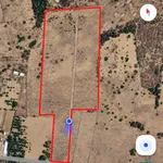 Bán 2,3 hecta đất cây trồng Mũi Né, Phan Thiết - Ảnh thu nhỏ 2