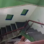 Bán nhà 2 phòng ngủ 147m² An Sơn, Thuận An - Ảnh thu nhỏ 4