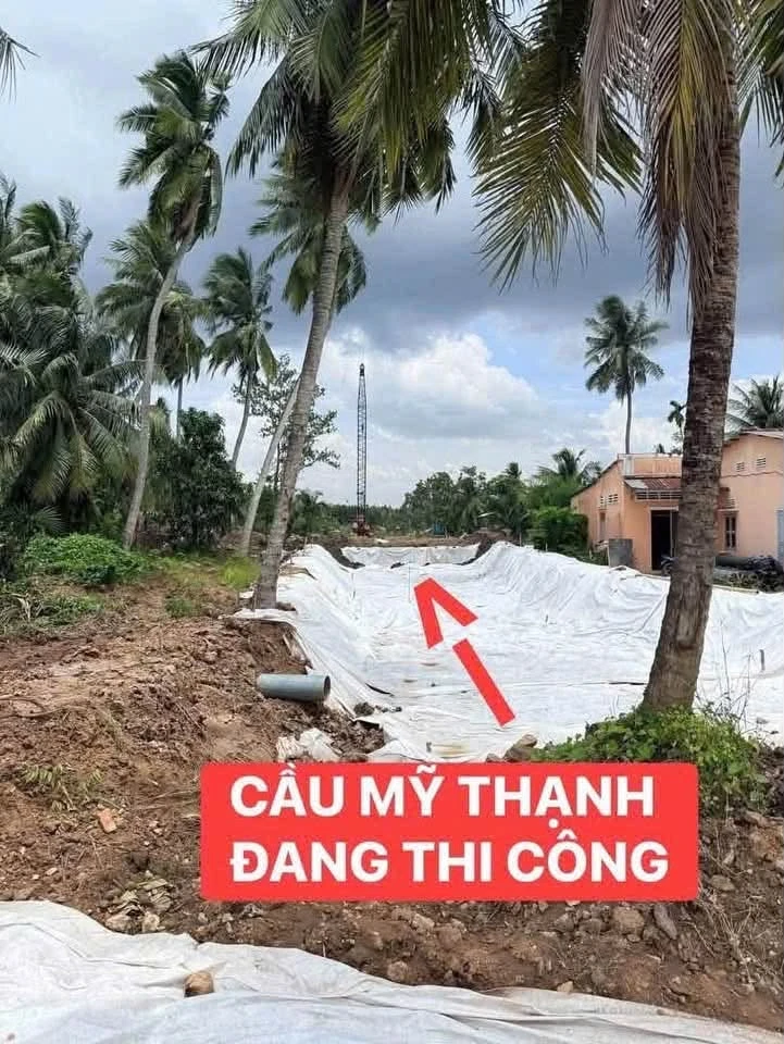 Bán đất mặt tiền 1336m2 Giồng Trôm 1 tỷ 950 triệu - Ảnh thu nhỏ 3