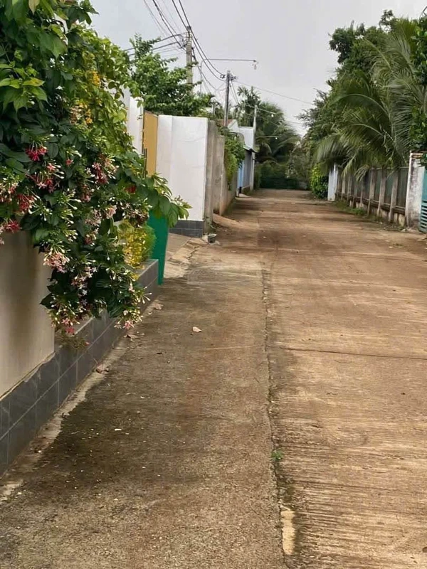 Bán đất Cao Thành 156m² gần chợ Ekao 1 tỷ 300 triệu