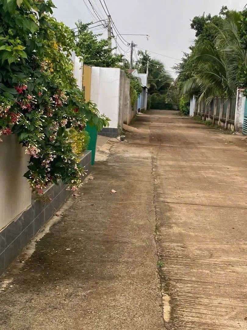 Bán đất Cao Thành 156m² gần chợ Ekao 1 tỷ 300 triệu - Ảnh 1