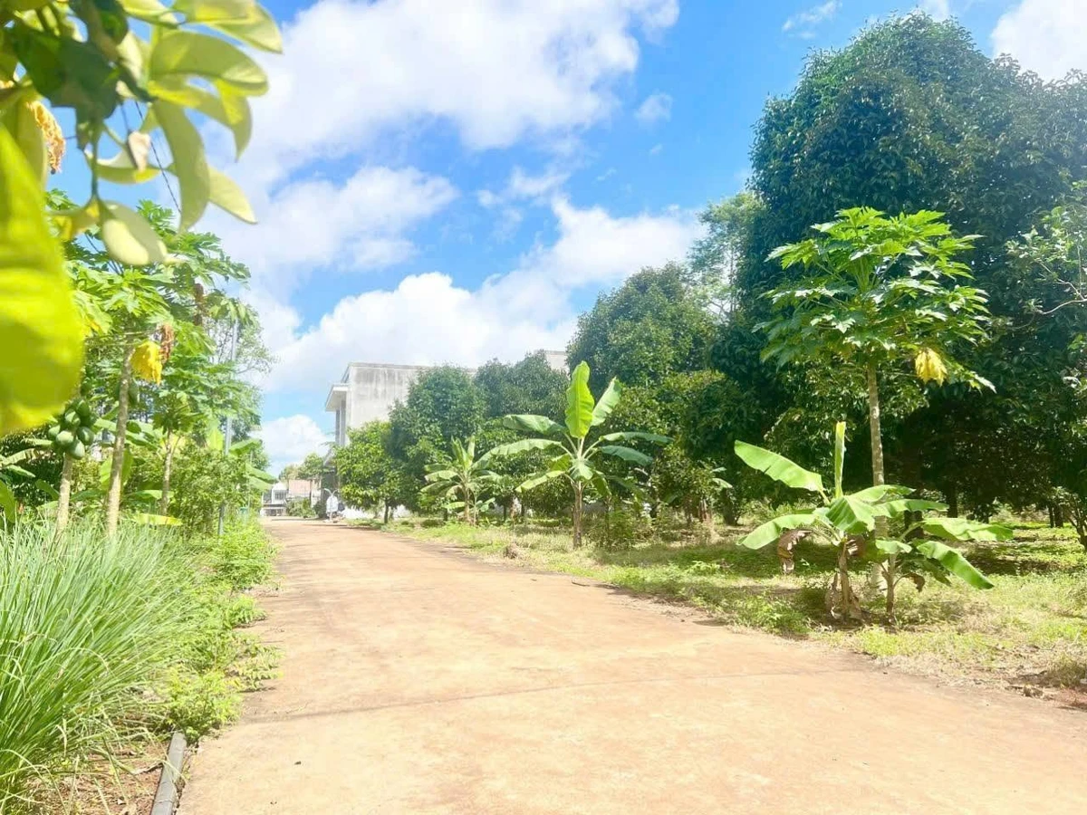 Bán nền đất 100m² TĐC Suối Chồn, Đồng Nai 1.35 tỷ - Ảnh thu nhỏ 4