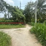Bán đất công Sơn Đông Bến Tre 4.366m² 1.4tr/m² - Ảnh thu nhỏ 3