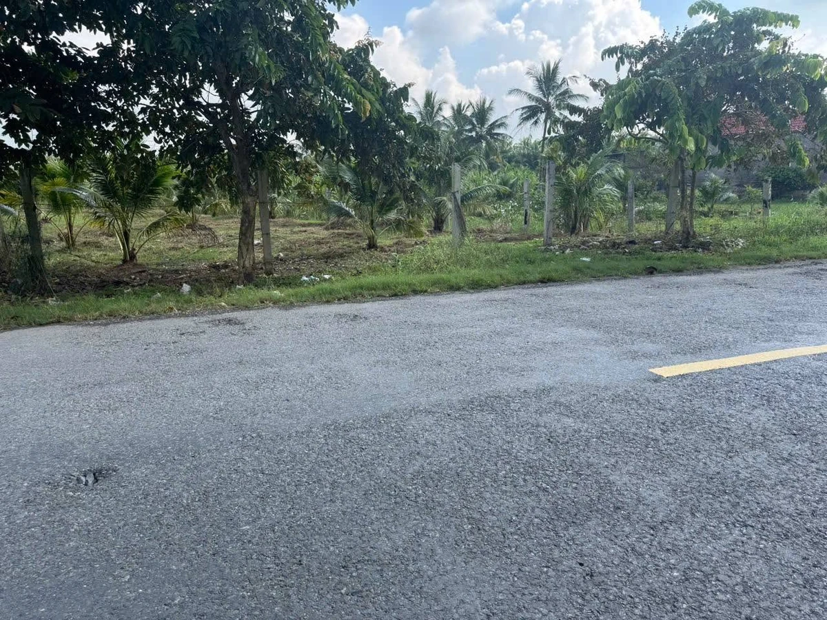 Bán đất 1500m² Xã Châu Hưng, Vĩnh Long 300 triệu - Ảnh thu nhỏ 2