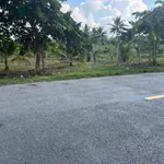 Bán đất 1500m² Xã Châu Hưng, Vĩnh Long 300 triệu - Ảnh thu nhỏ 2