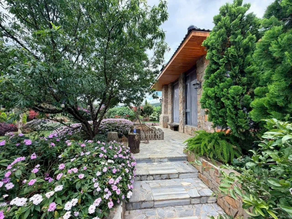 Bán villa sân vườn 2000m² 23 tỷ Đà Lạt chân đèo Prenn - Ảnh thu nhỏ 4
