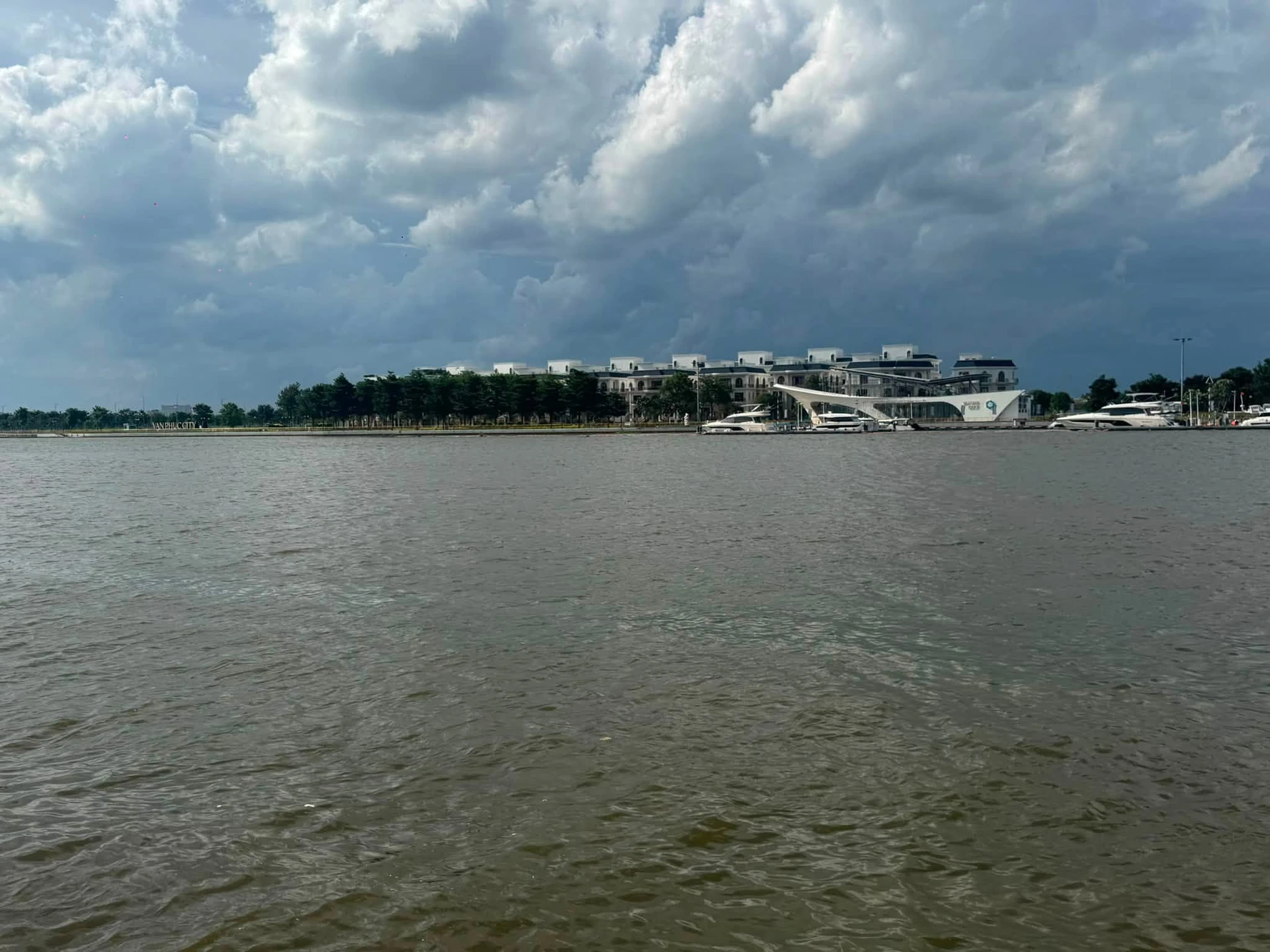 Bán biệt thự 650m2 view sông Sài Gòn Bình Lợi Bình Thạnh 65 tỷ - Ảnh 1