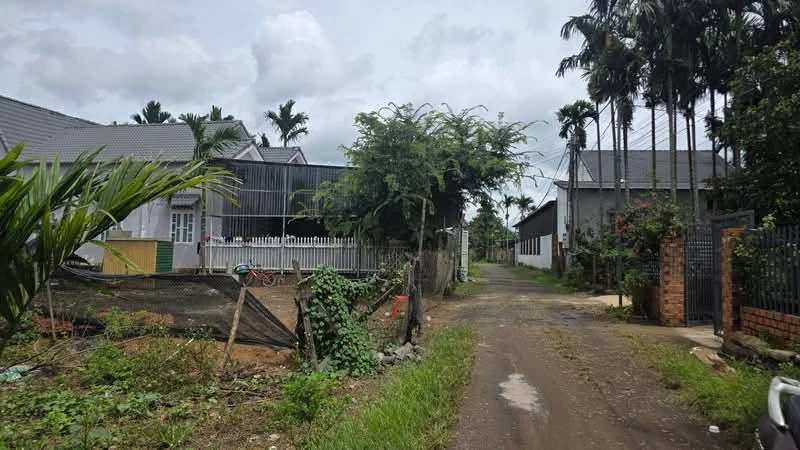 Bán đất góc 2 mặt tiền Tân Hòa Đắk Lắk 295m2 - Ảnh 1