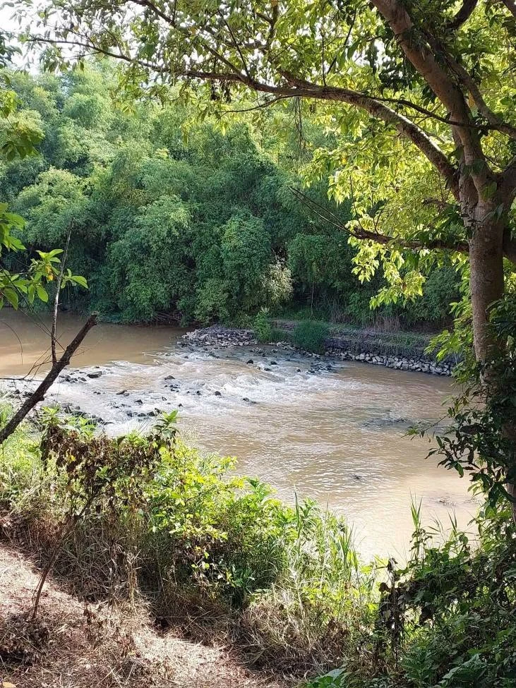 Bán đất vườn hơn 1200m2 view sông tại Diên Đồng, Diên Khánh, Khánh Hòa giá 899 triệu - Ảnh thu nhỏ 4