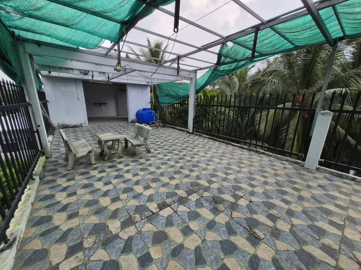 Bán nhà mặt tiền Sơn Đông Nhà Bè 360m2, 2.99 tỷ - Ảnh thu nhỏ 3